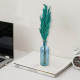 33cm Glass Vase with Green Pampas Plume