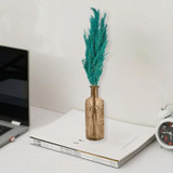 33cm Glass Vase with Green Pampas Plume
