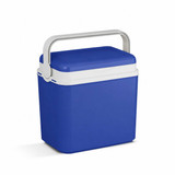 10L Insulated Portable Ice Cooler