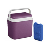 10L Insulated Portable Ice Cooler