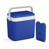 10L Insulated Portable Ice Cooler
