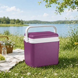 10L Insulated Portable Ice Cooler