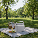 10L Insulated Portable Ice Cooler