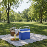 10L Insulated Portable Ice Cooler