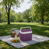 10L Insulated Portable Ice Cooler