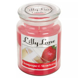 18oz Lilly Lane Large Scented Candles