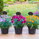 Handheld Mini Blackboard & Chalk For Plant Pots