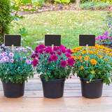 Handheld Mini Blackboard & Chalk For Plant Pots
