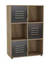 6-Cube Shelving Unit With Metal Doors