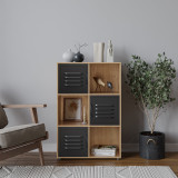 6-Cube Shelving Unit With Metal Doors