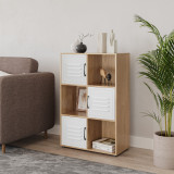 6-Cube Shelving Unit With Metal Doors