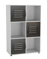 6-Cube Shelving Unit With Metal Doors