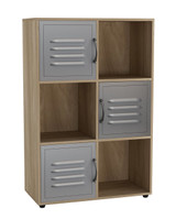 6-Cube Shelving Unit With Metal Doors