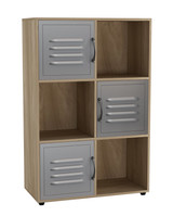 6-Cube Shelving Unit With Metal Doors