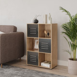 6-Cube Shelving Unit With Metal Doors