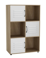 6-Cube Shelving Unit With Metal Doors