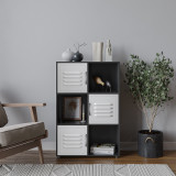 6-Cube Shelving Unit With Metal Doors