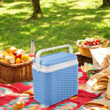 10L Rattan Insulated Small Cooler Box