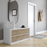 Minimalist Chest of 4 Drawers Wide Storage Cabinet - 60x120x51.5cm