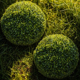 Artificial Buxus Grass Ball