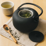 1L Cast Iron Teapot w/ Stainless Steel Infuser Filter