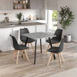 80cm Modern Florence Dining Table and 4 Bergen Chairs Set