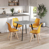 80cm Modern Florence Dining Table and 4 Bergen Chairs Set