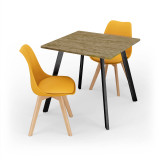 3-Piece Modern Dining Set - 80cm Square Table and 2 Tulip Chairs with Wooden Legs