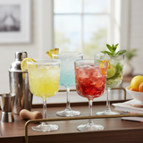 Pasabahce Tall Stemmed Gin & Tonic Glasses Set 490ml