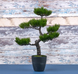 49cm Green Artificial Bonsai Tree Plant in Black Pot