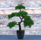 49cm Green Artificial Bonsai Tree Plant in Black Pot