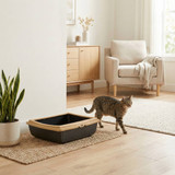 Cat Litter Tray Box with Rim
