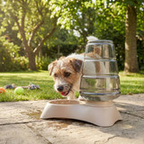 Automatic Pet Feeder Drinking Bowl Dispenser