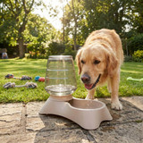 Automatic Pet Feeder Drinking Bowl Dispenser