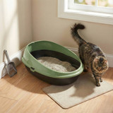 Oval Cat Litter Tray Box with Rim