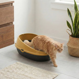 Oval Cat Litter Tray Box with Rim