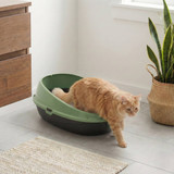 Oval Cat Litter Tray Box with Rim