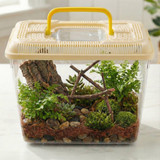 Plastic Reptile Terrarium Tank