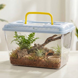 Plastic Reptile Terrarium Tank