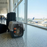 Dog Pet Carrier Transporter Cage