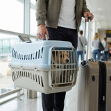 Pet Travel Carrier