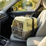 Pet Travel Carrier