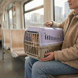 Pet Travel Carrier