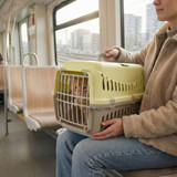 Pet Travel Carrier