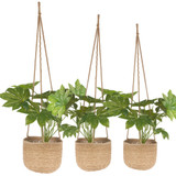 3 Bamboo Hanging Planter Baskets Jute Rope