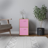 2-Tier Cube Shelving Unit with Inserts
