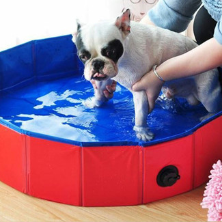 Animal Pet Bath Pool Medium
