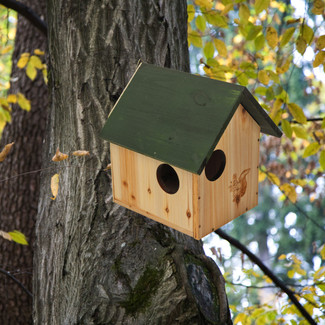 Hanging Squirrel Shelter