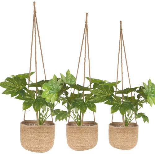 3 Bamboo Hanging Planter Baskets Jute Rope