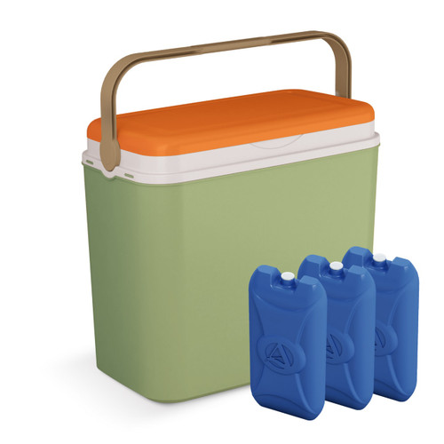 36L Large Insulated Cooler Storage Box With 3 Ice Packs